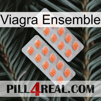 Viagra Set 27